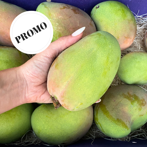 mango-siciliano-biologico